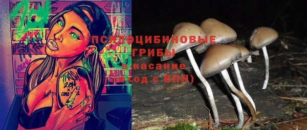 МДПВ Мегион