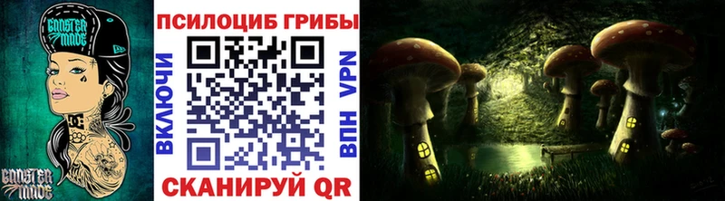 наркотики  Подпорожье  omg вход  Псилоцибиновые грибы мицелий 